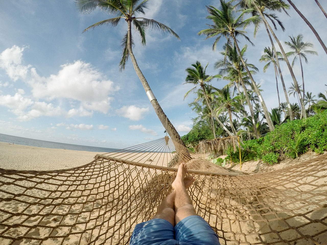 beach, hammock, blue sky, nature, clouds, palm trees, rest, relaxation, holiday, vacation, tropical island, coconut trees, island, leisure, palm, recreation, resort, sand, sea, seashore, summer, travel, tropical